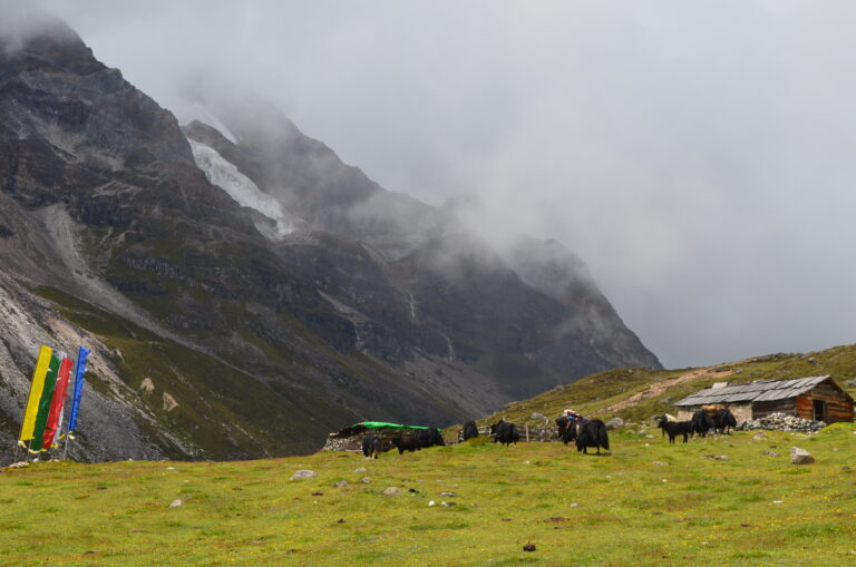 Lachung